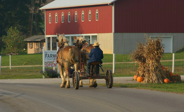 Broad Run Cheesehouse  Visit Sugarcreek Ohio